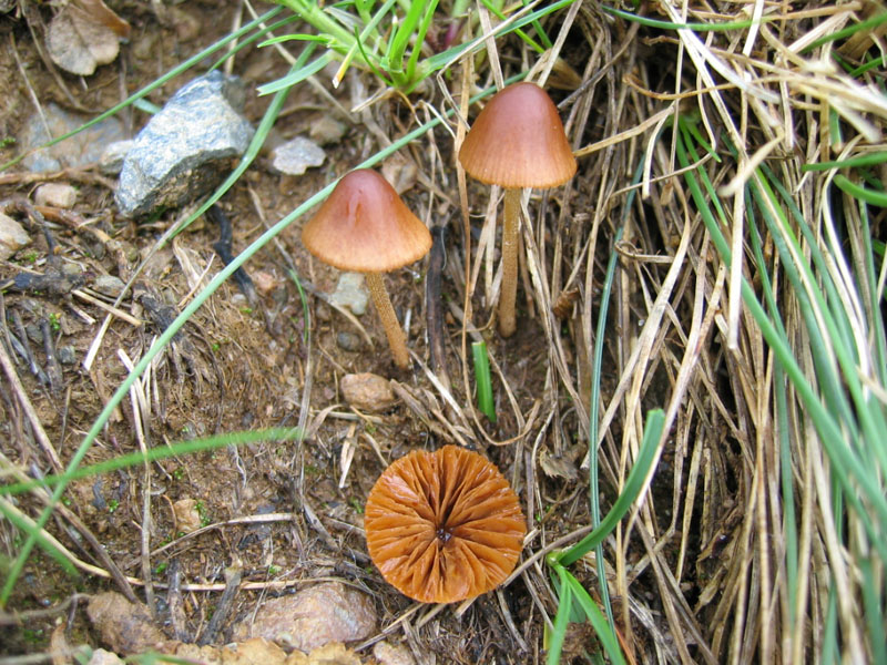 Agosto 2006 - Valsassina